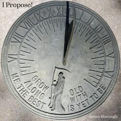 I Propose