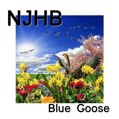 Blue Goose (Live)