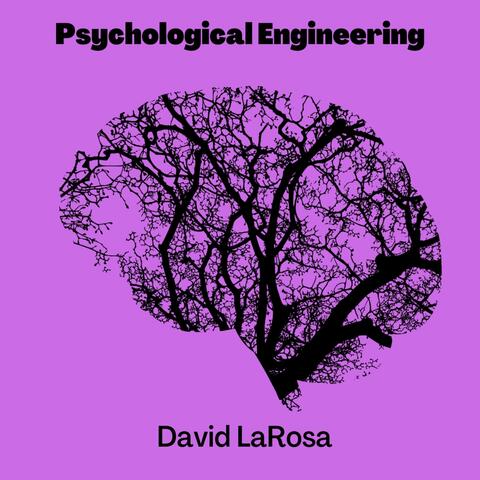 Psychological Engineering