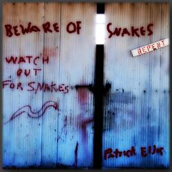 Beware of Snakes