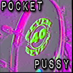 Pocket Pussy