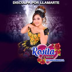 Disculpa por Llamarte (En Vivo)