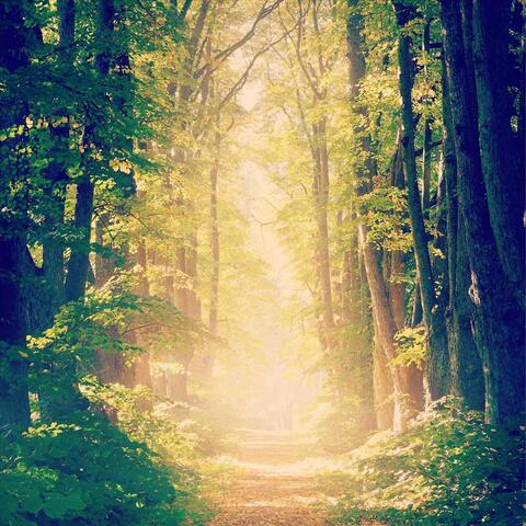 Pickens Lane
