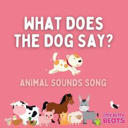What Does the Dog Say? (Animal Sounds Song)