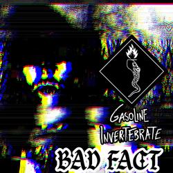 Bad Fact (Minimal Terror Remix by Street Level Dentistry)