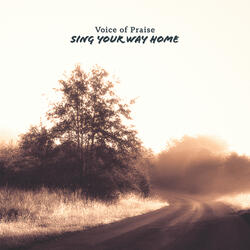 Sing Your Way Home