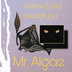 Yellow Eyed (Sweetfury)