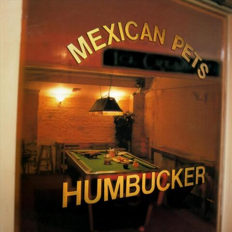 Humbucker