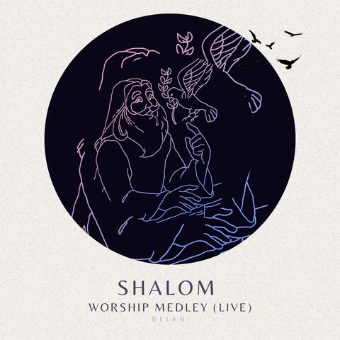 Shalom Worship Medley: Shalom / Still / Dance Like David (Live)