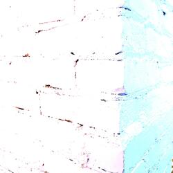 What I'd Do Without You