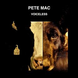 Voiceless