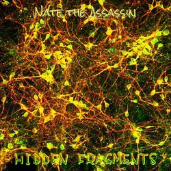 Hidden Fragments