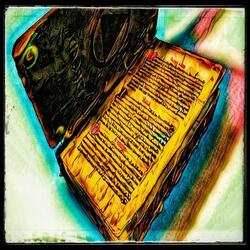 The Book Not the Cover