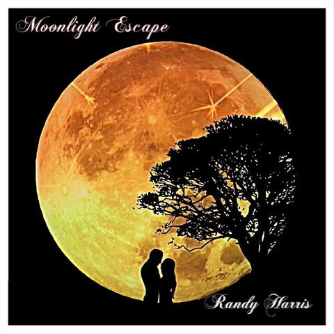 Moonlight Escape