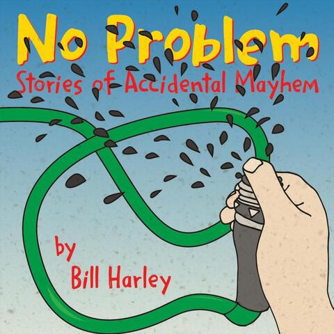 No Problem: Stories of Accidental Mayhem