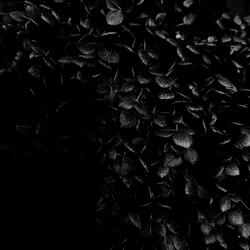 33 (feat. Michael Goforth II)