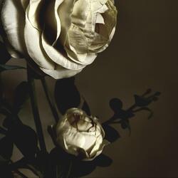 No More Sorrow (feat. Josh Slaughter & Kat Slaughter)