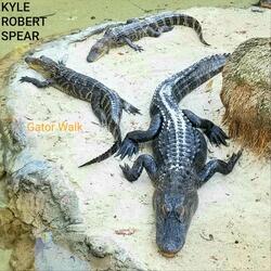 Gator Walk