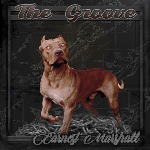 The Groove