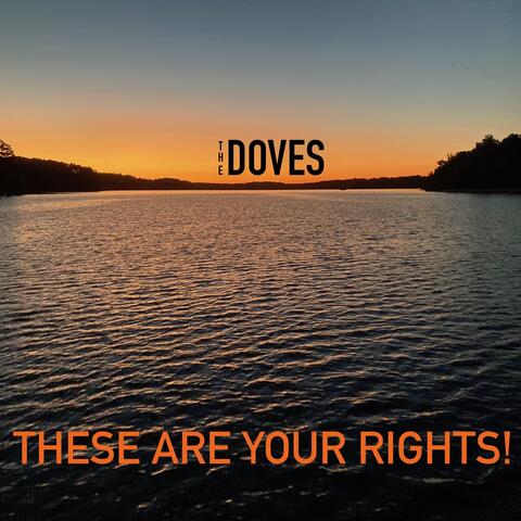 These Are Your Rights!