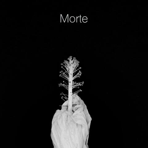Morte