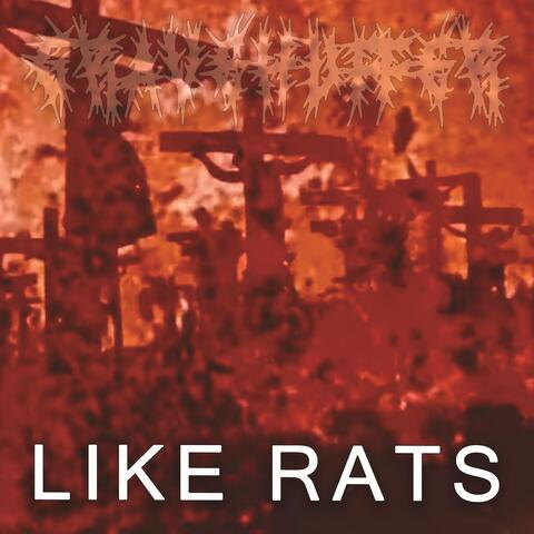 Like Rats