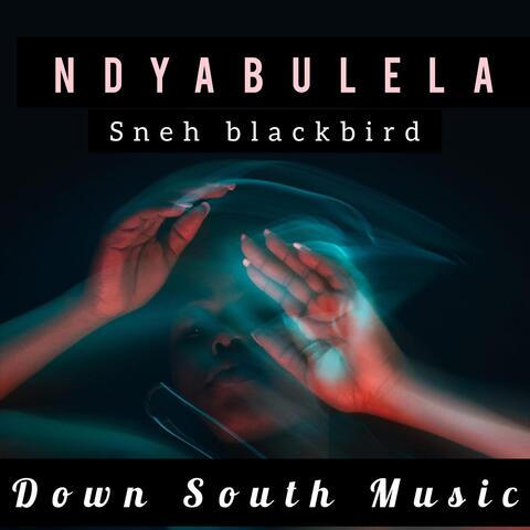 Ndiyabulela
