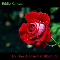 Lo, How a Rose E'er Blooming
