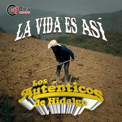 La Vida Es Asi