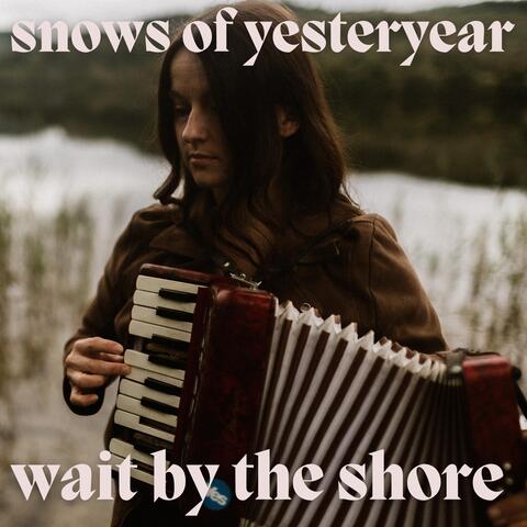 Wait by the Shore