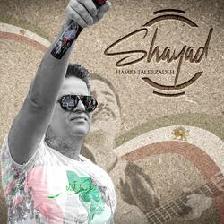 Shayad