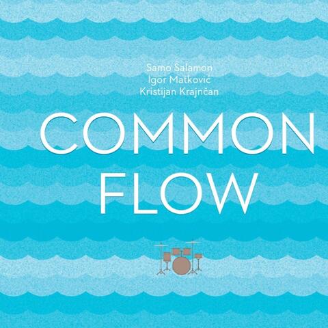 Common Flow