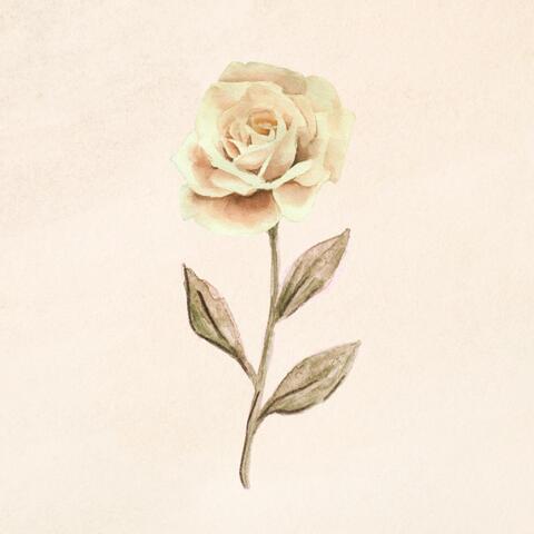 Stay