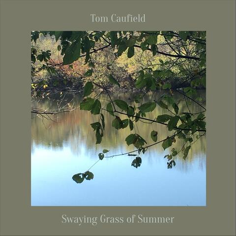 Swaying Grass of Summer