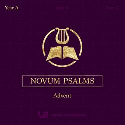 4th Sunday of Advent: Psalm 24 (Let the Lord Enter)