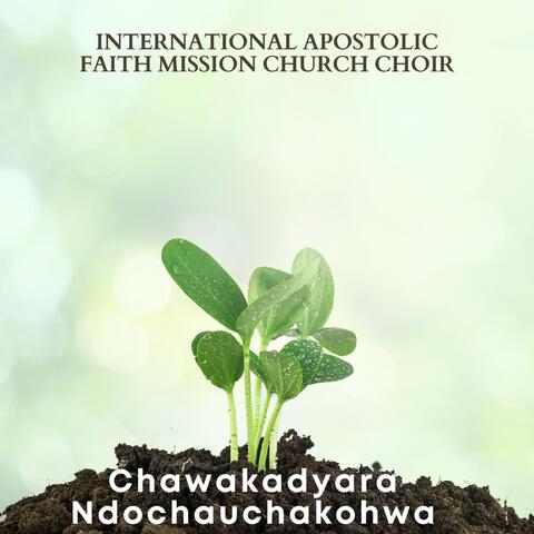 Chawakadyara Ndochauchakohwa