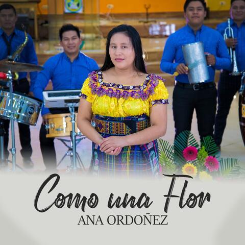 Como una Flor