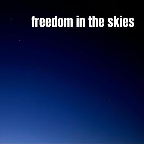 Freedom in the Skies