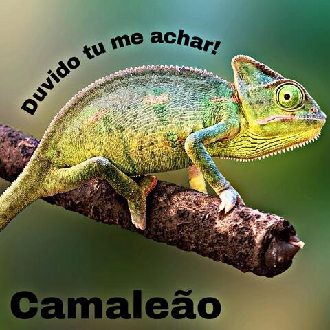 Monsueto