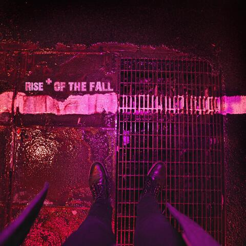 Rise of the Fall (feat. We Never Sleep)