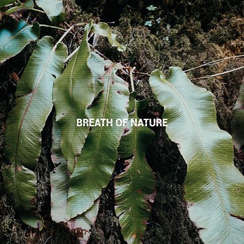 Breath of Nature
