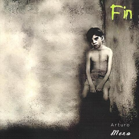 Fin