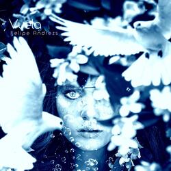 Vuela (Demo)