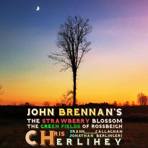John Brennan's / The Strawberry Blossom / The Green Fields of Rossbeigh (feat. Jonathan Berlingeri & Frank Callaghan)
