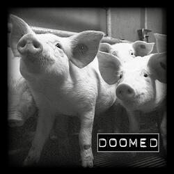 Stand up and Start Again