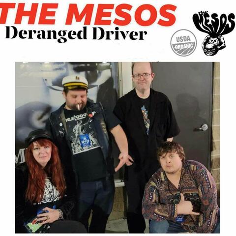 Deranged Driver