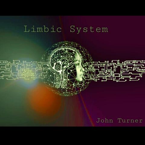 Limbic System