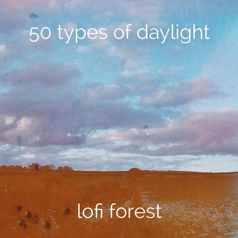 50 Types of Daylight