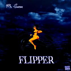 Flipper