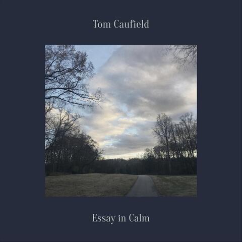 Essay in Calm